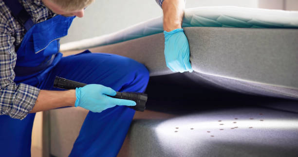 Best Affordable Pest Control Services  in East Berwick, PA
