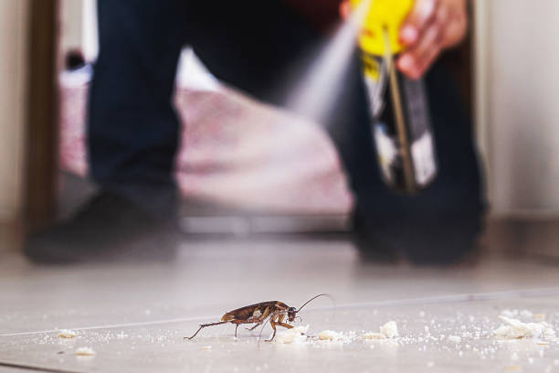 Best Pest Prevention Services  in East Berwick, PA