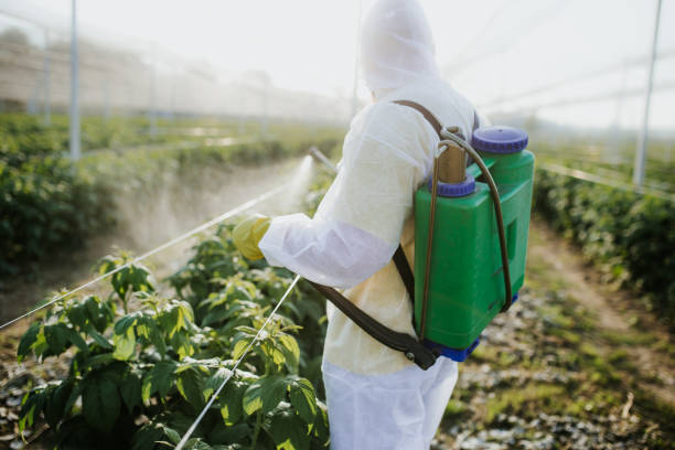 Best Exterminator Services  in East Berwick, PA